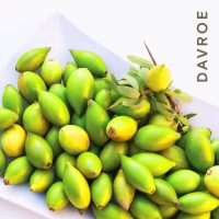 Argan Oil - Image 3