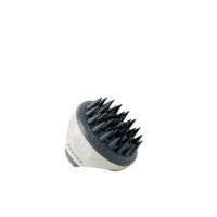Scalp Remedy Brush